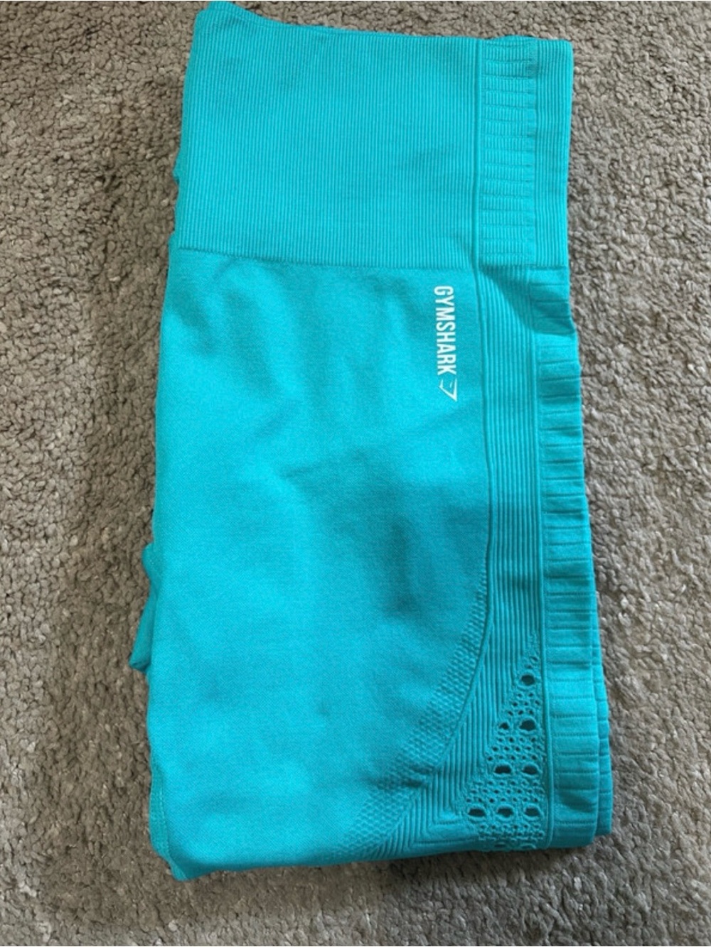 Gymshark Teal Seamless Performance Leggings